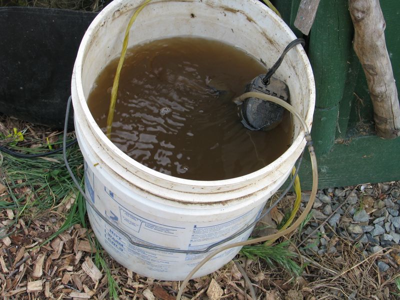 Gather Your Simple Ingredients