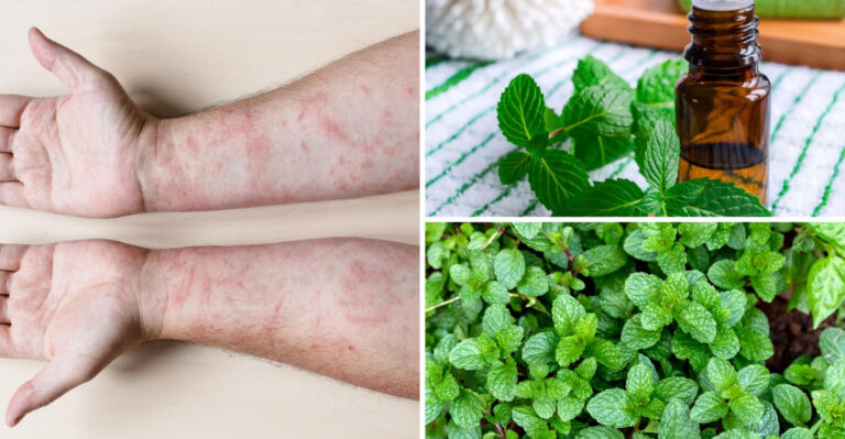 What You Didn’t Know About Mint (And Why It’s Dangerous)