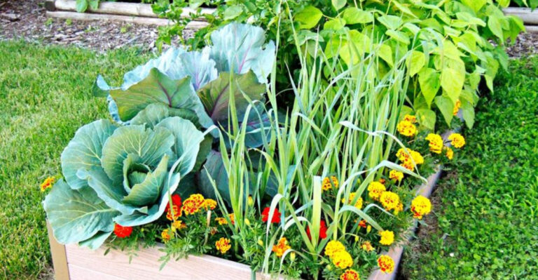 What to Do in Your Garden Each Month: Year-Round Planner