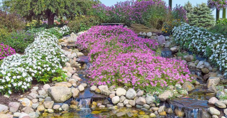 What’s a Rockery? 9 Easy Steps to Create This Stunning Garden Feature at Home!