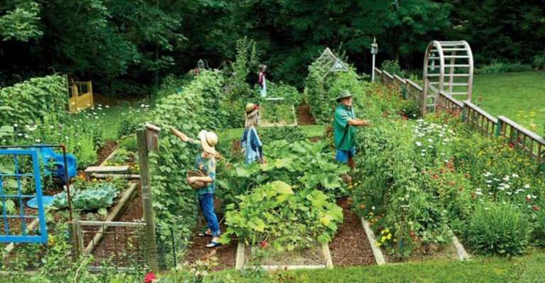 Why Smart Gardeners Are Ditching Fertilizer in Early Spring – 7 Shocking Reasons You Need to Know!
