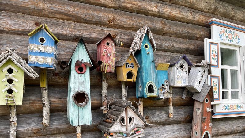 Colorful Birdhouses