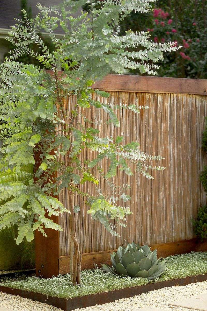 Year-Round Eucalyptus