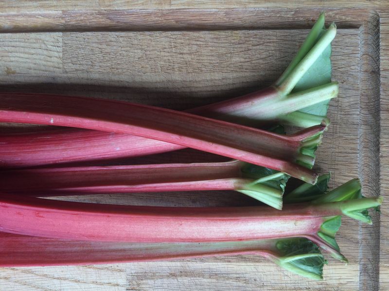 Rhubarb