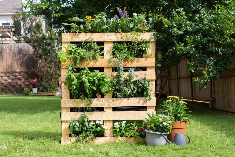 Pallet Planter