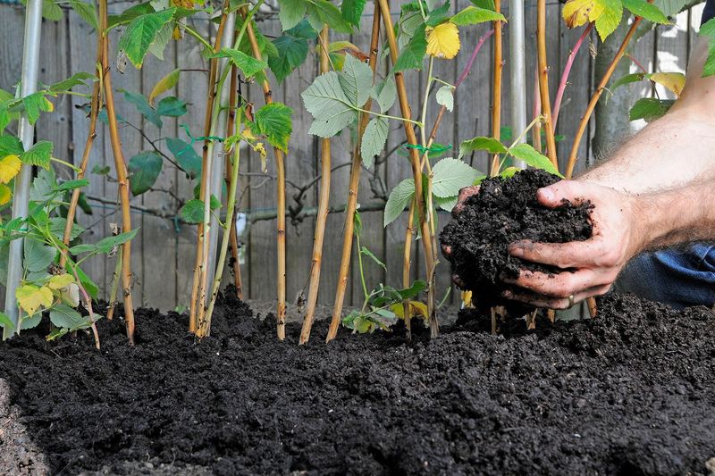 Feed the Soil, Not Just the Plants