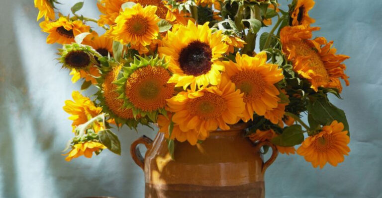 Zodiac Garden: What to Grow Based on Your Sign