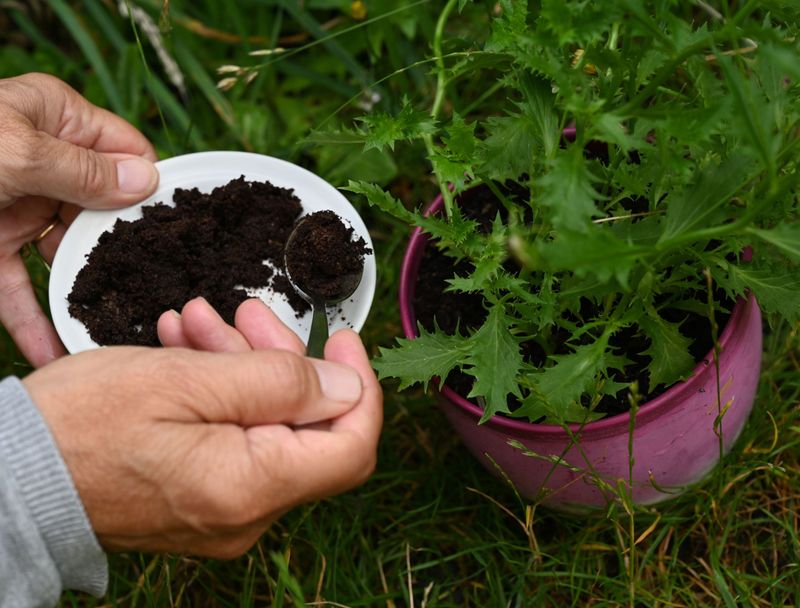 Erosion Control Experiment