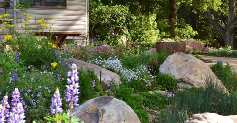 1 in 4 Native Plants Are on the Brink—Here’s How You Can Save Them
