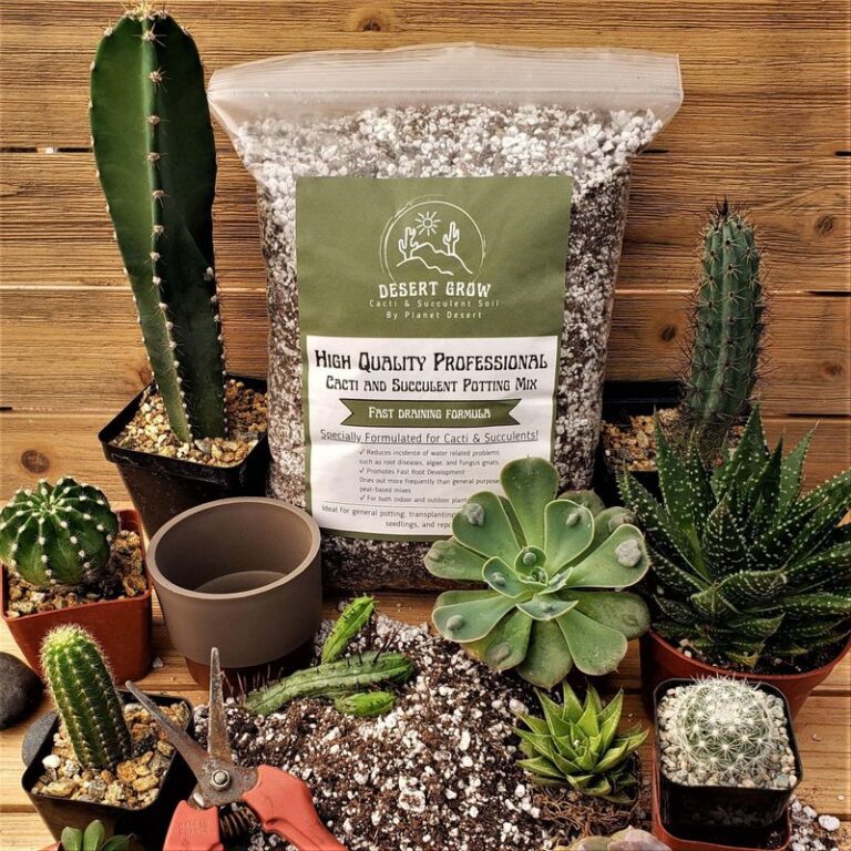 Photo inspiration: Visual Reference: 10 Best Soil Mixes For Different Types Of Indoor Plants