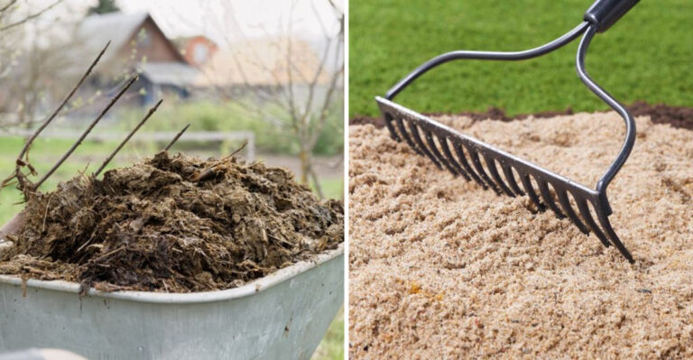 10 Items That You Shouldn’t Be Filling A Raised Garden Bed With