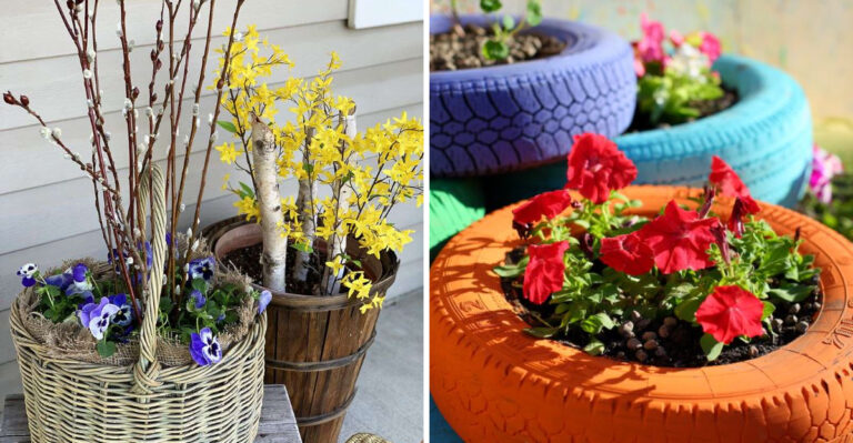 11 DIY Planters That Rot Fast (And 11 That Last for Years)