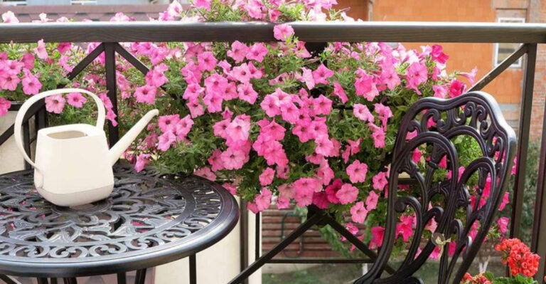 15 Balcony Plants That Will Transform Your Outdoor Space