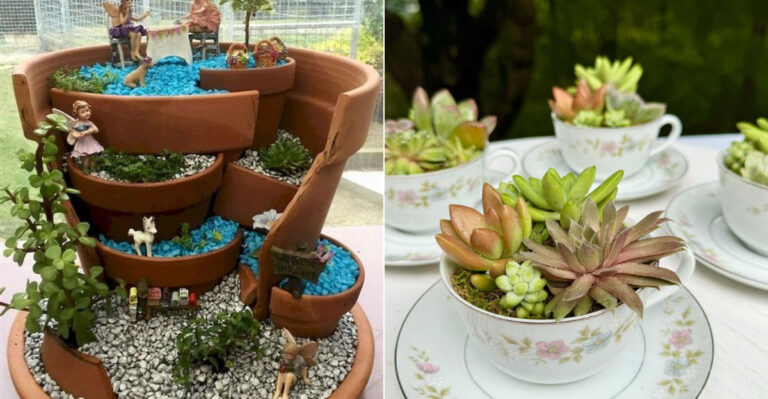 15 Budget-Friendly Garden Trends That Look Expensive