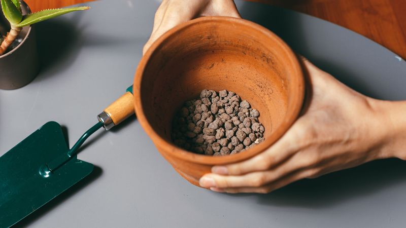 Myth 1: Adding Gravel to Pots Improves Drainage