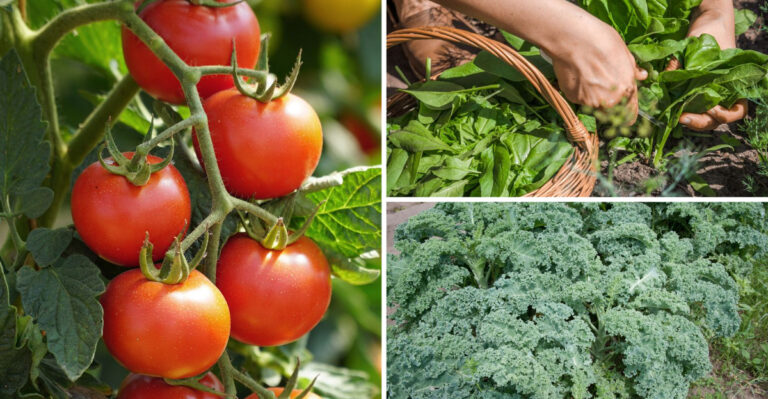 15 Vegetables Proven to Fight Inflammation—And They Grow in Any Backyard