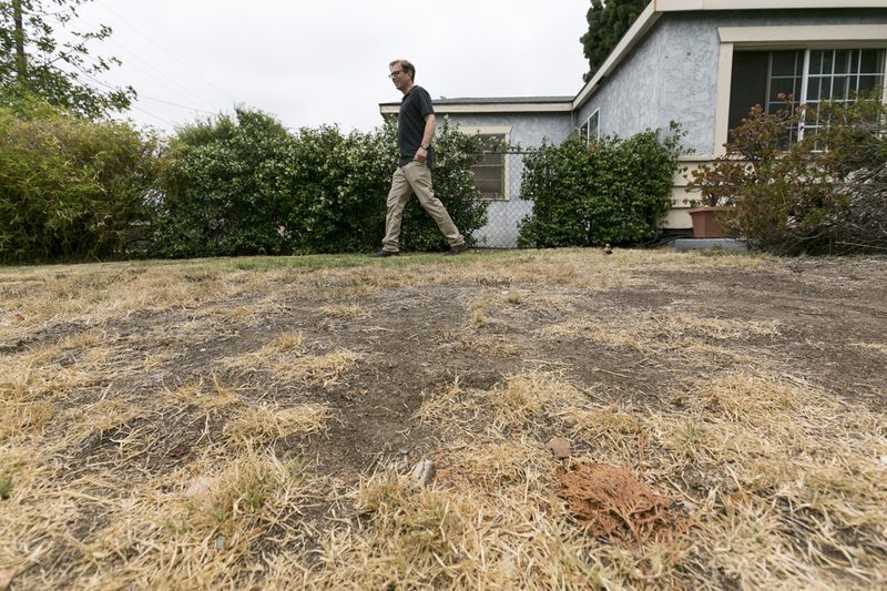 Grass Lawns (in Drought-Prone Areas)