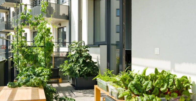 16 Balcony Garden Ideas That Work in Any Climate