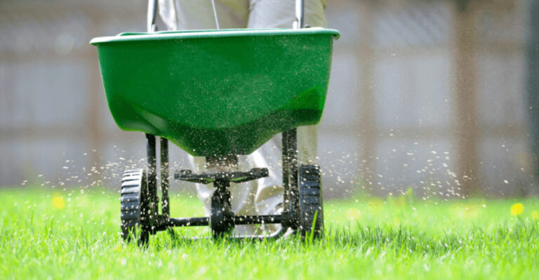 16 Lawn Care Secrets That Cost Under $5 — Your Neighbors Will Be Jealous