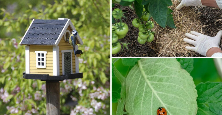 16 Natural Ways to Get Rid of Tomato Hornworms (For Good)