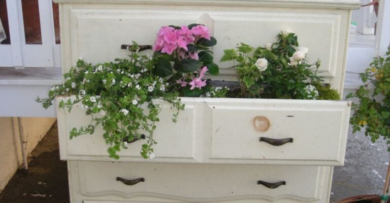 16 Places to Grow Plants Where No One Would Think to Look