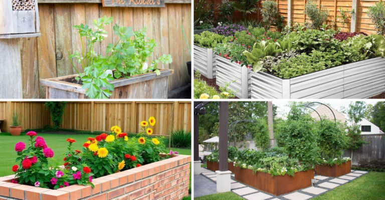 16 Raised Bed Designs That Are Both Stylish and Functional