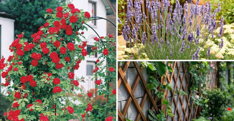 16 Ways to Camouflage Utility Boxes with Plants