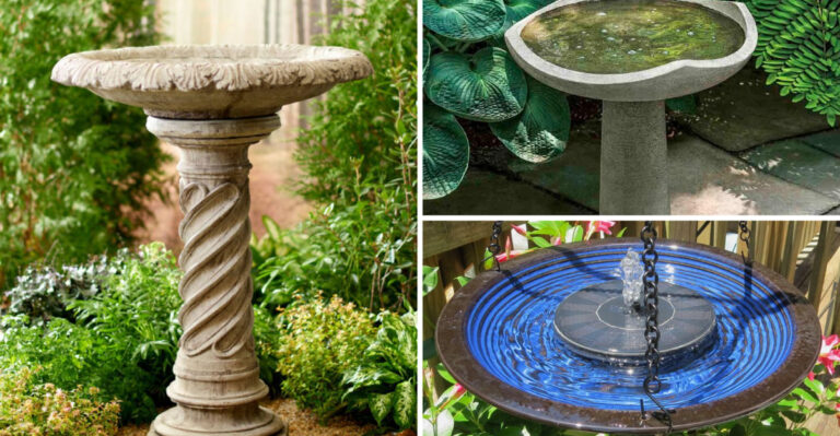17 Bird Baths That Transform Your Yard Into a Wildlife Paradise