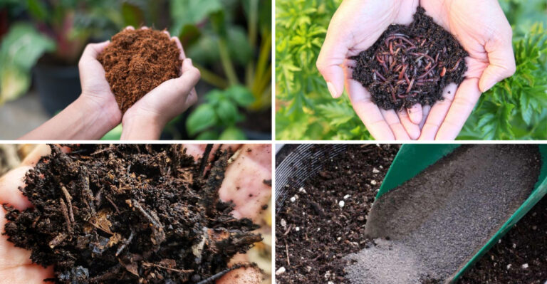 17 Essential Soil Ingredients You Should Add To Your Raised Beds