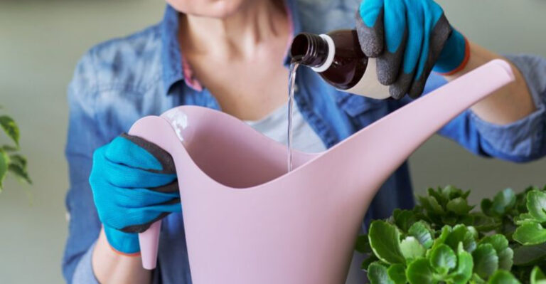 17 Ingredients You Can Add To Watering Cans To Stop Plants Wilting During A Heatwave