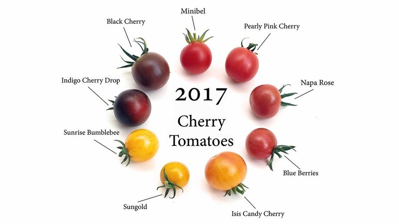 Choose the Right Variety