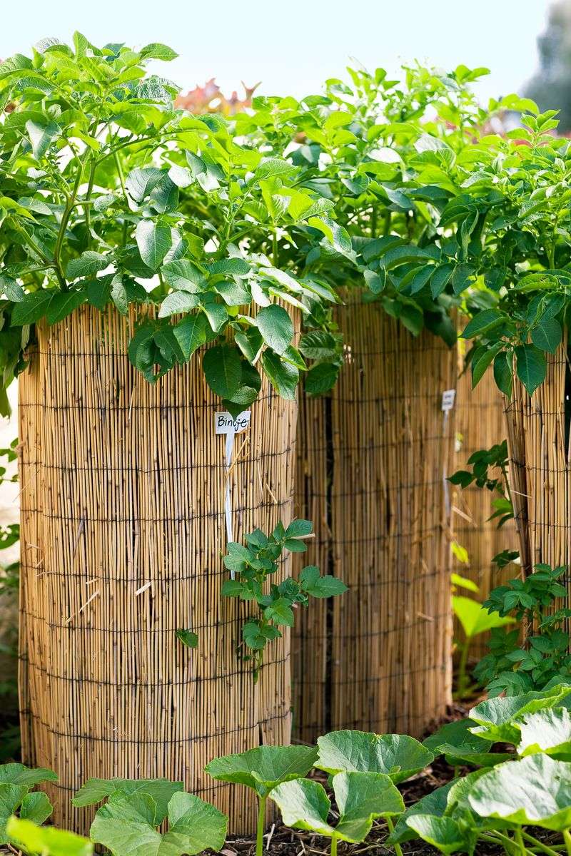 Vertical Gardening Towers
