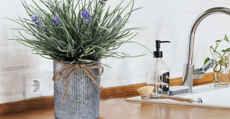 20 Beautiful Plants to Bring Life and Charm to Your Kitchen Decor