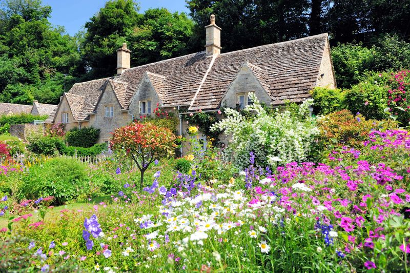 Cottage Garden Charm