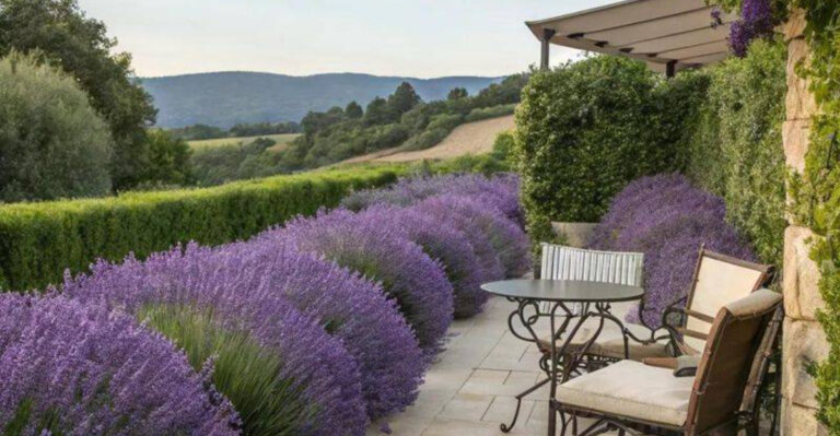 20 Gorgeous Hedging Plants That Practically Take Care of Themselves