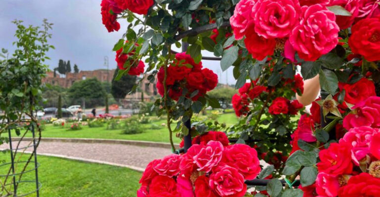 20 Plants That Only Thrive When Grown in Odd Numbers