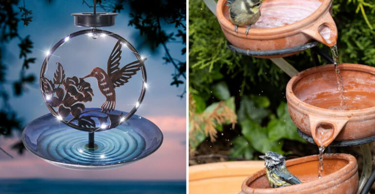 20 Secret Bird Bath Features That Designers Don’t Want You to Know