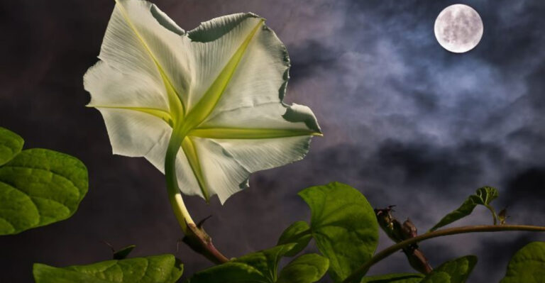 20 Secret Seed Starting Facts That Garden Centers Don’t Want You to Know