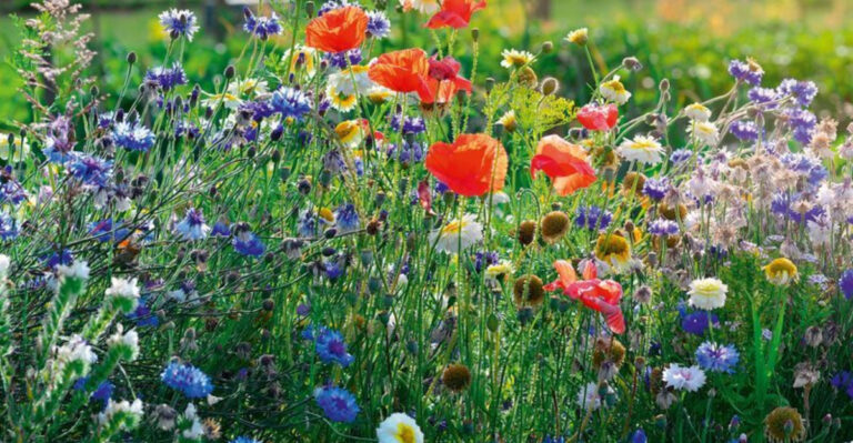 26 Naturalistic Garden Design Ideas To Turn Your Backyard Into A Dreamscape