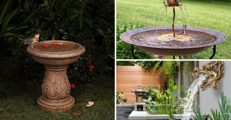 27 Beautiful Water Features That Attract Birds to Your Garden