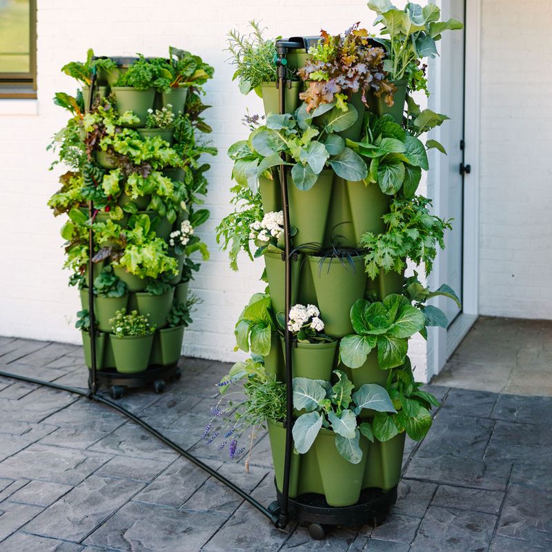 5. Forgetting to Water Properly