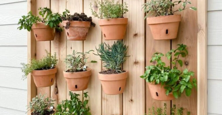 5 Planter Mistakes to Skip — And 12 Genius Indoor Herb Growing Hacks That Work