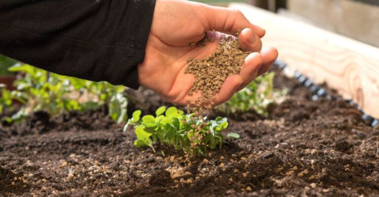7 Common Mistakes With Organic Fertilizers — Plus 11 Natural Options That Work Better