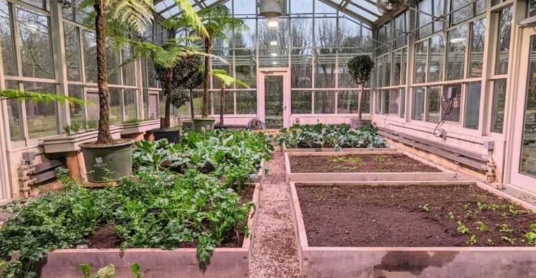 7 Greenhouse Accessories Are Money Traps — Here’s What Experts Buy Instead