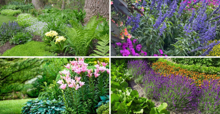 8 Perfect Lily Companion Plants That Create Garden Magic (Plus 7 to Never Plant)