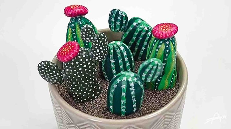 Cactus Rock Garden