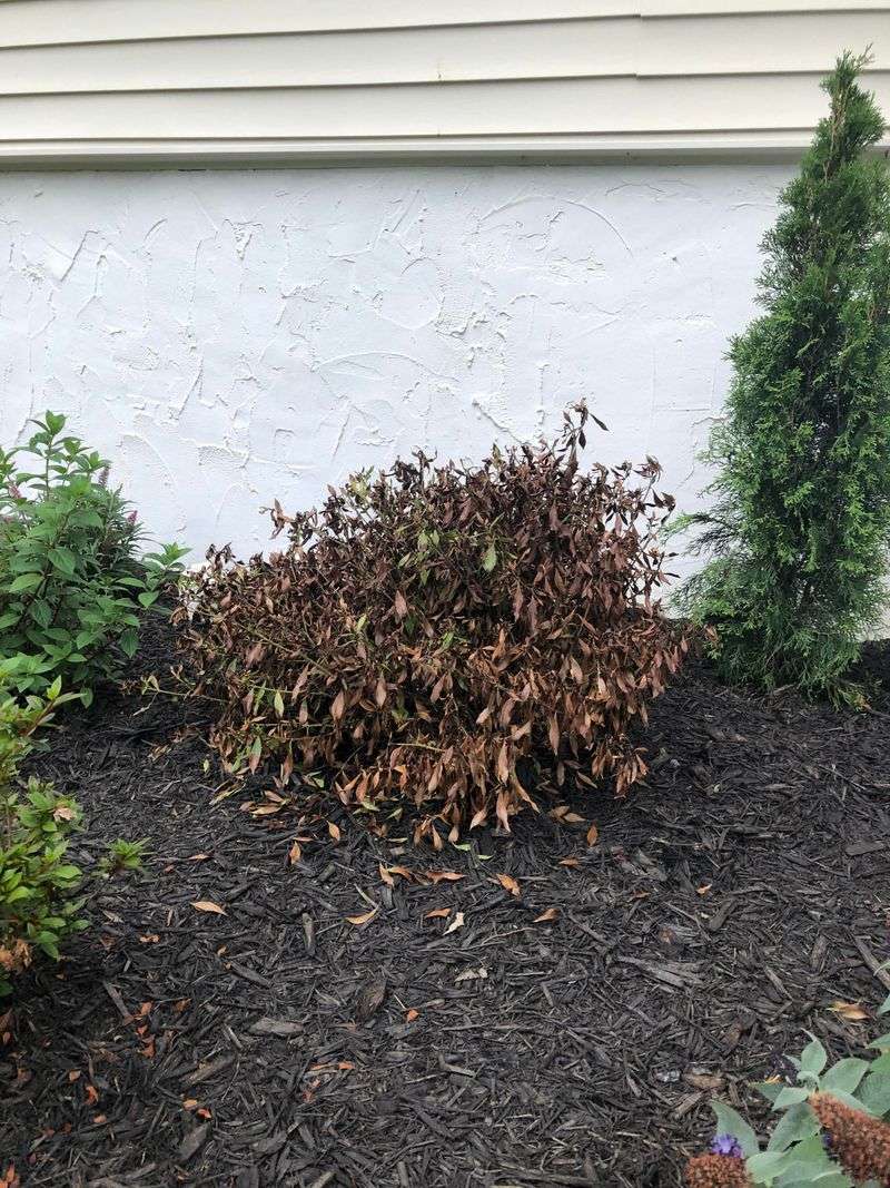 Places With Heavy Clay Soil