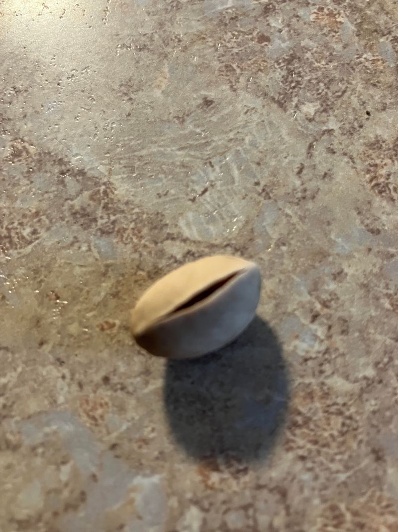 Empty or Closed Shells