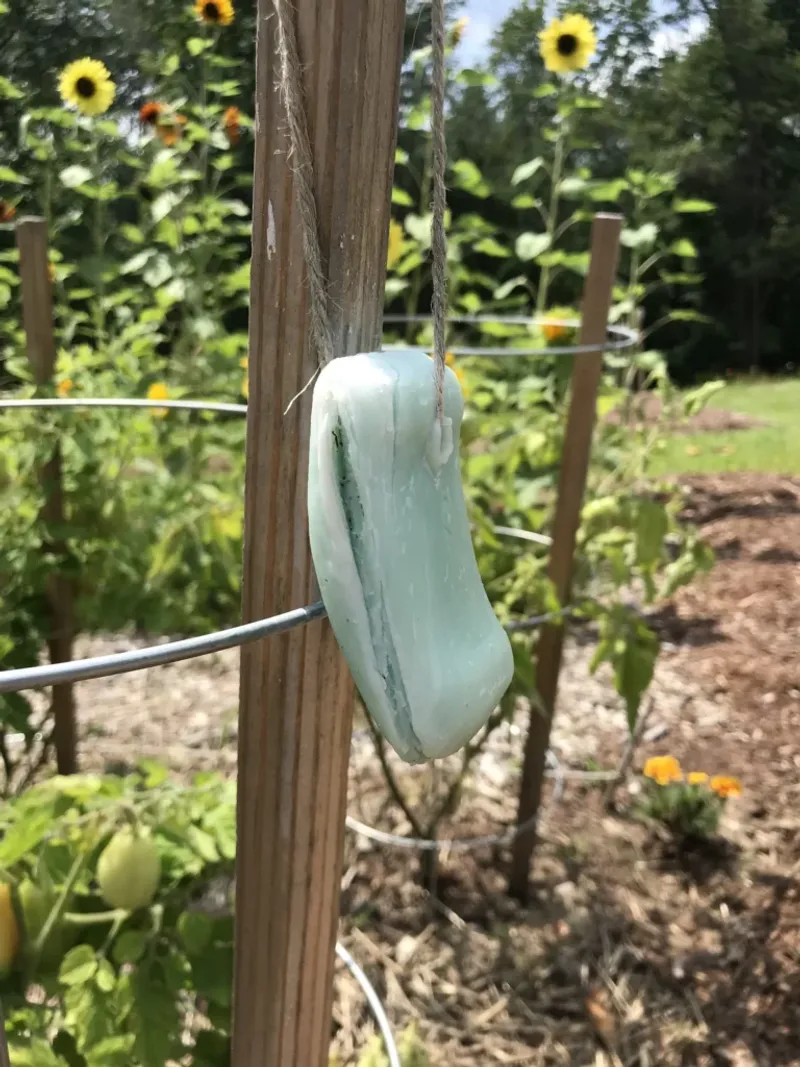 Soap-on-a-Rope Deer Repellent