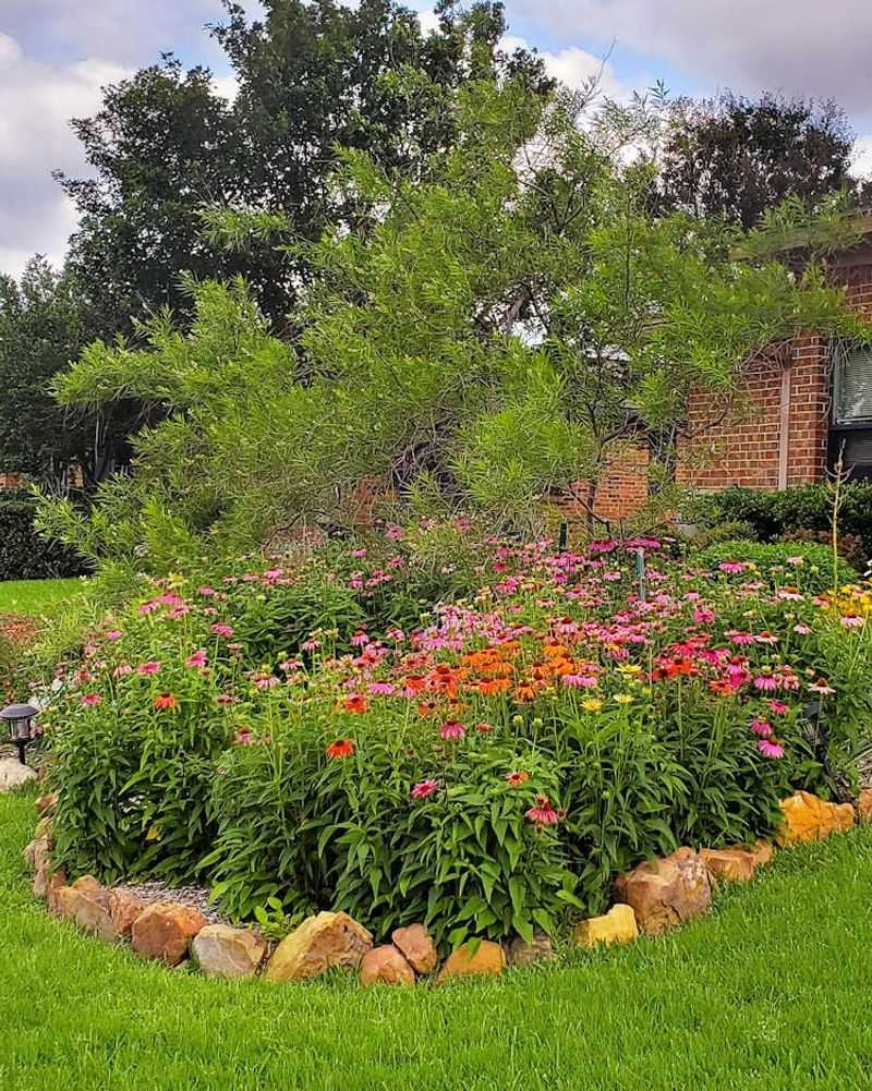 Wildflower Wonderland